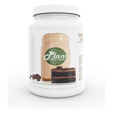NutraBio Plant Protein – Complete Amino Acid Profile – 20G of Protein per Scoop – Gluten and Dairy Free, Zero Fillers, Naturally Sweetened, Non-GMO, USA Made Protein Powder - Mochaccino Cake